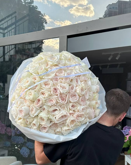 101 white o hara rose