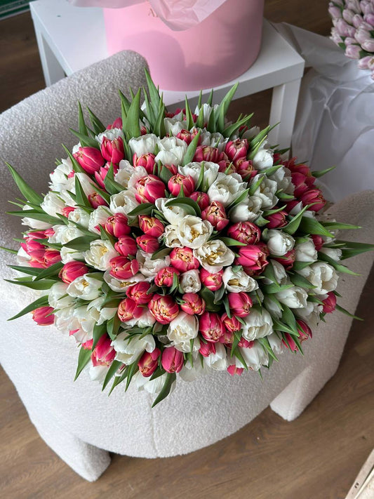 201 peony-shaped tulips