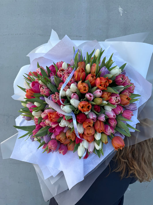 201 colorful tulips