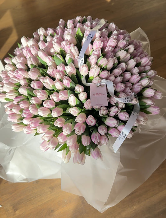 Box of 300 tulips